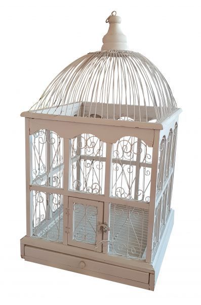 Grande Cage à Oiseau